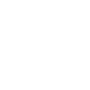Campus Labs Node icons